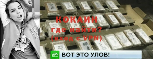 спайс Алзамай