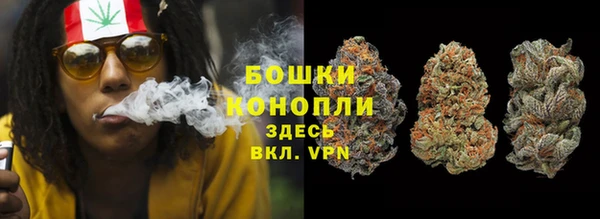 спайс Алзамай