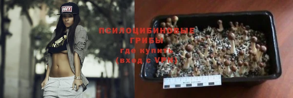 спайс Алзамай